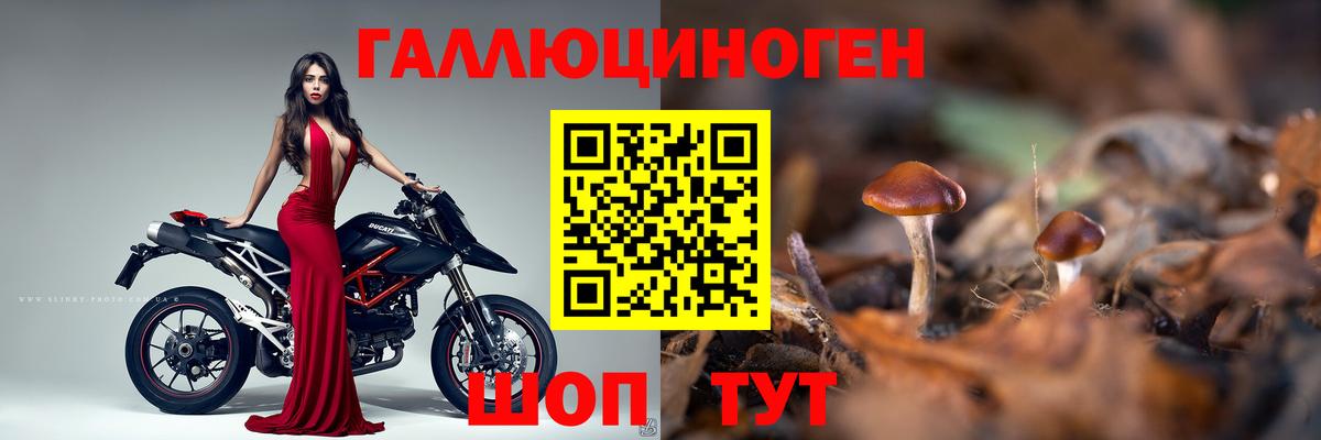Югорск  Псилоцибиновые грибы мухоморы  Галлюциногенные грибы MAGIC MUSHROOMS  Вход с VPN 